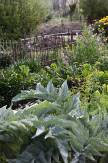 tuin met tekstuur
