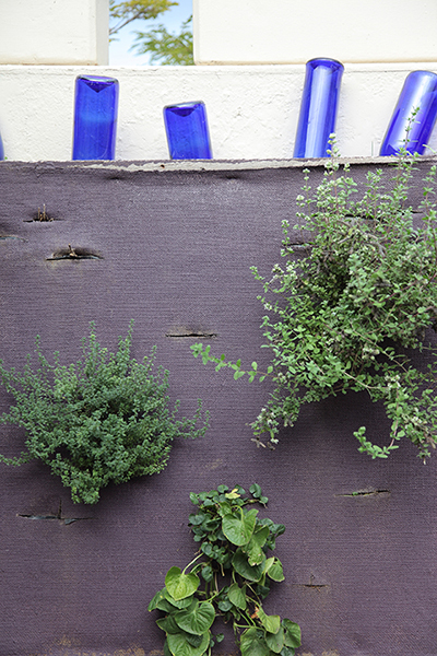 Plantpalet