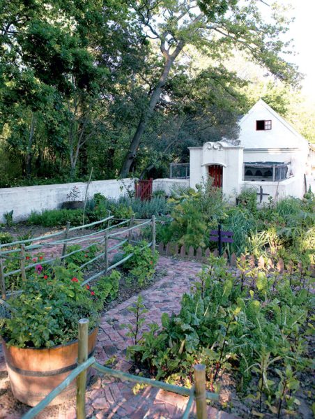 Formele-lyne-in-jou-tuin
