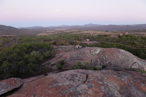 Namaqua