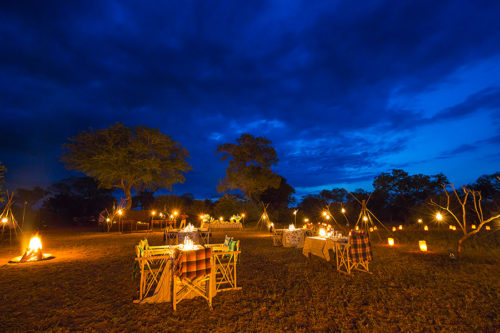 Thornybush-Bush-Dinner