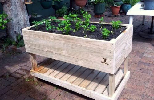 Cape Planters