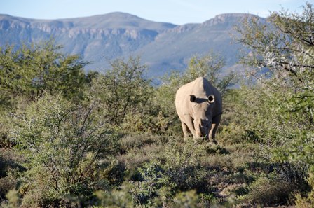 samara-warm-hart-van-karoo-DSC_3146
