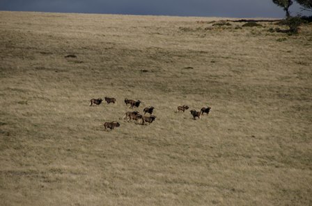 samara-warm-hart-van-karoo-DSC_3240