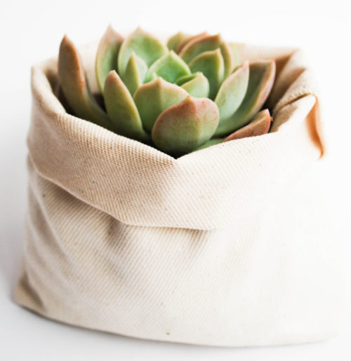 Woestynrosie sakkie