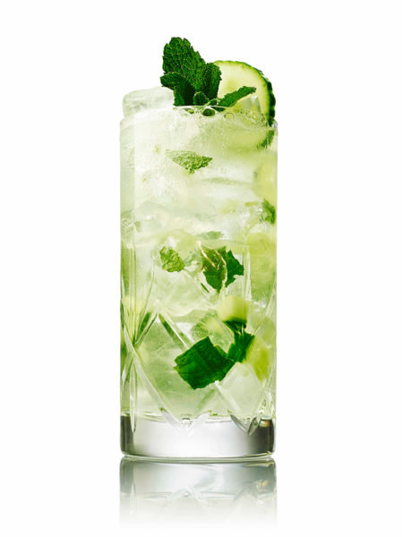 Hendrick's Gin Summer Mule