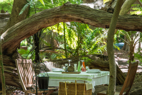 picnic-at-vergelegen