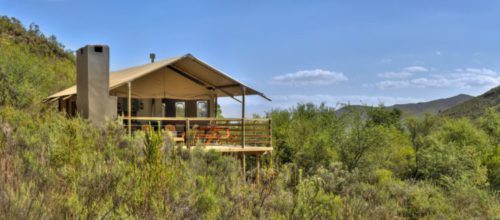 Bly in 'n boetiektent by Africamp at Pat Busch, Robertson