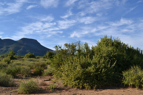 Camdeboo-Nasionale-Park