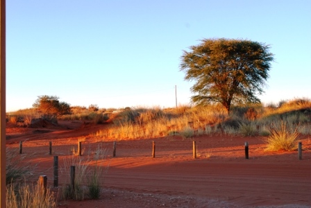 kgalagadi-lodge-veld