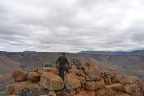 Karoo Nasionale Park