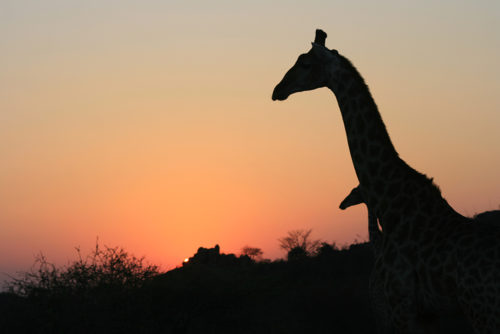 Mapungubwe Nasionale Park