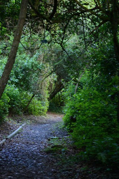 Tuinroete-Nasionale-Park