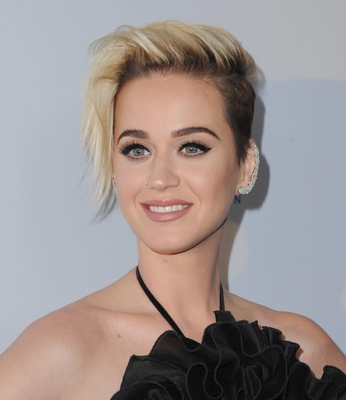 Human Rights Campaign's 2017 Los Angeles Gala Dinner - Arrivals