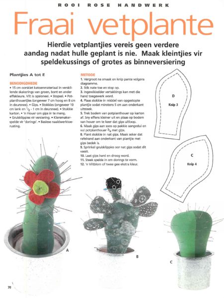 Fraai vetplante Bladsy 1