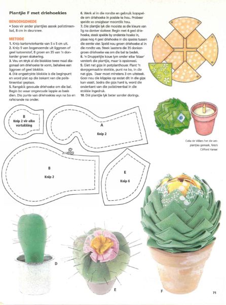 Fraai vetplante Bladsy 2
