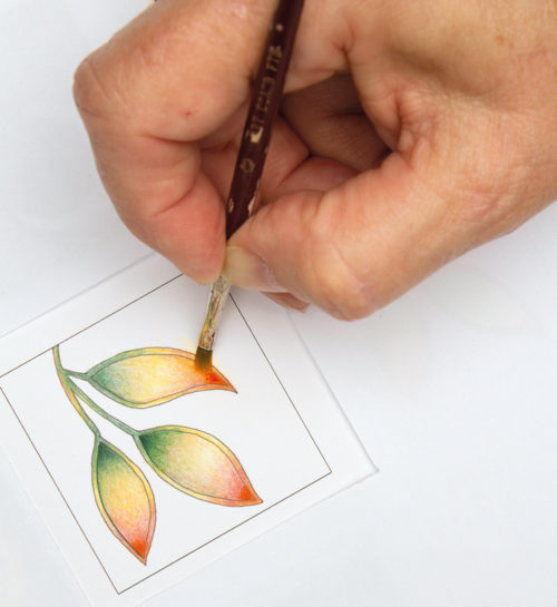 Detail-met-fynpuntpenne