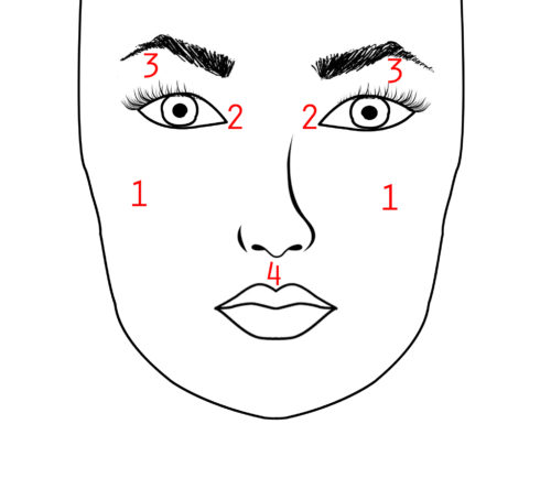 FACE CHART