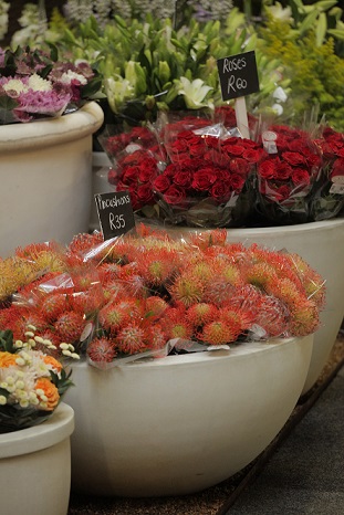 Flowers2