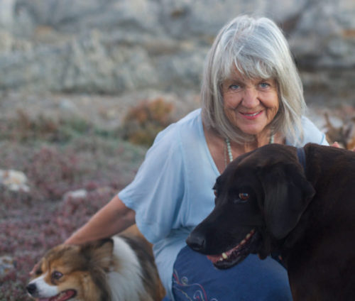 Katinka-Heyns-honde