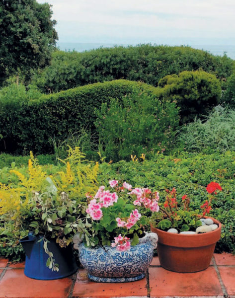 Katinka-Heyns-tuin