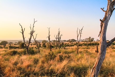 swaziland-klein-landjie-groot-hart-wildtuin