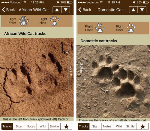 Tracker Manual Resensie Voetspore