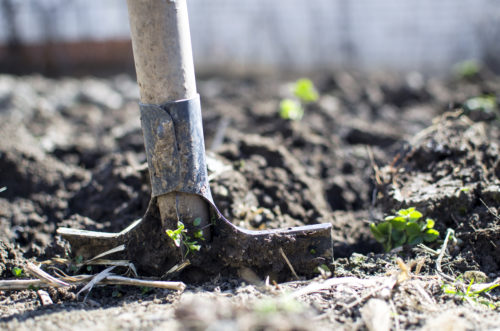 tuinmaak met kompos