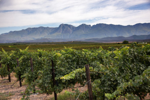 Langberge by die Wacky Wine Weekend