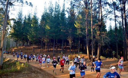 erfees-knysna-hardloop