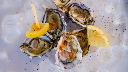 erfees-knysna-oesters