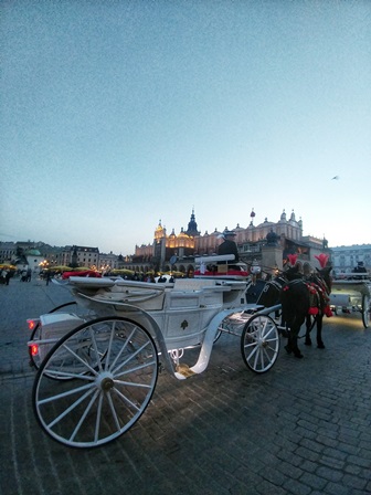 -inval-2-krakau-perdekarre