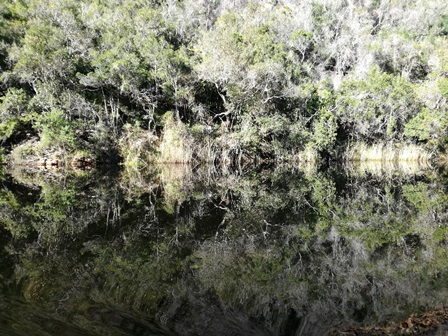 Wildernis-boot-weerkaatsing
