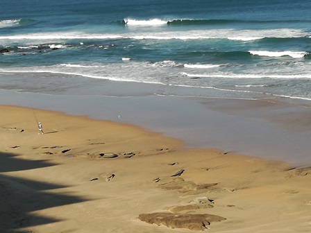 dide-Guest-Lodge-Wildernis-strand
