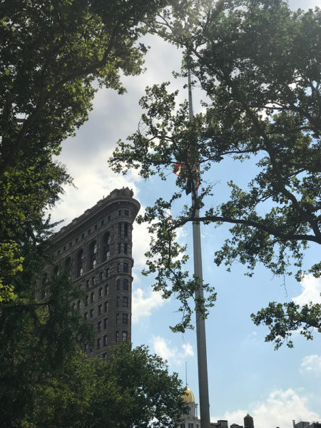 Margaret se wereld swede new york dag 4