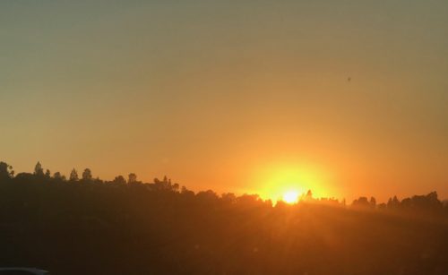 Margaret se wereld new york dag 5