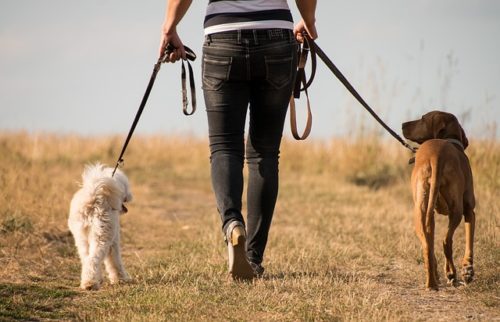 3 Webwerwe wat jou lewe makliker maak