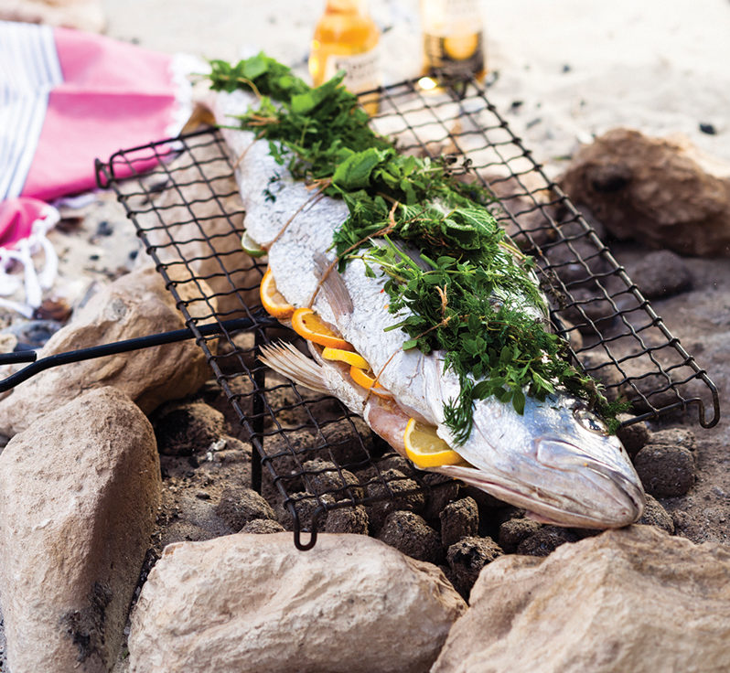 Braairesepte vir seekos