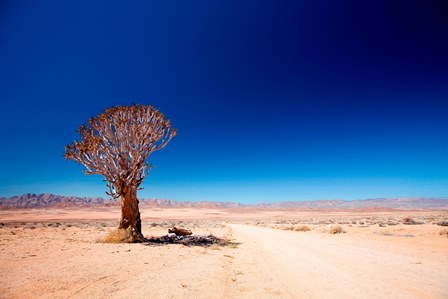 Liefde, een foto op ’n slag richtersveld