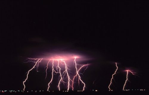 Donderweer, vuurwerke en jou angstige troeteldier