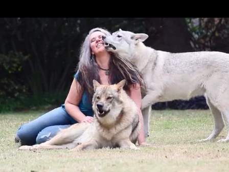 dertien-vrae-aan-engelvrou-belinda-en-wolwe