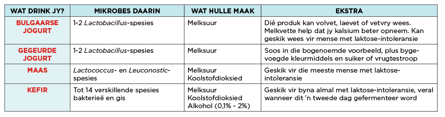 Laktose-intolerant? Hoekom kefir vir jou sal werk