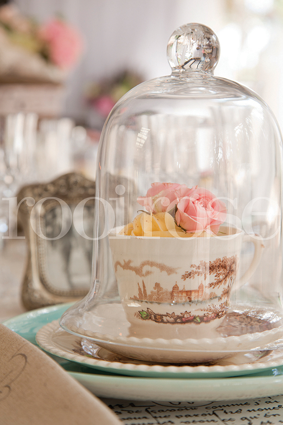Inspirasie vir KANSA-tee 2019