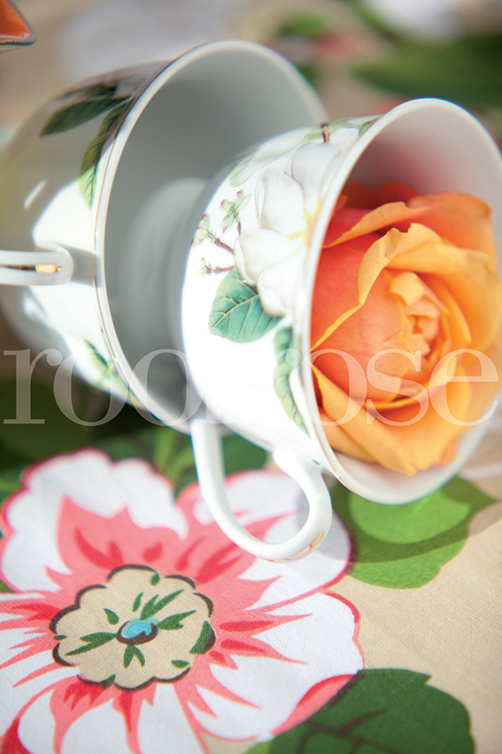 Inspirasie vir KANSA-tee 2019