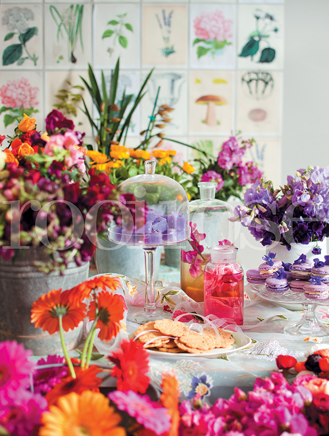 Inspirasie vir KANSA-tee 2019