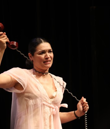 Kim Engelbrecht in die toneelstuk, A woman alone, wat deur Franca Rame en Dario Fo geskryf is en in 1977 vir die eerste maal opgevoer is, is ’n kragtige en diepsinnige monoloog wat die lewe van ’n huisvrou ondersoek en temas van onderdrukking, bevryding en sosiale kommentaar aanraak.