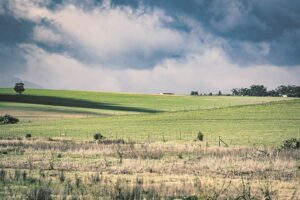 Swartland word weer groenland