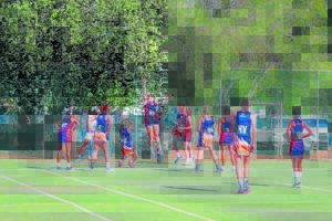 Twizza-netbal het begin