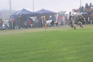 Wesbank druk deur