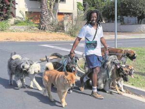 Siya stap vir hondegeregtigheid